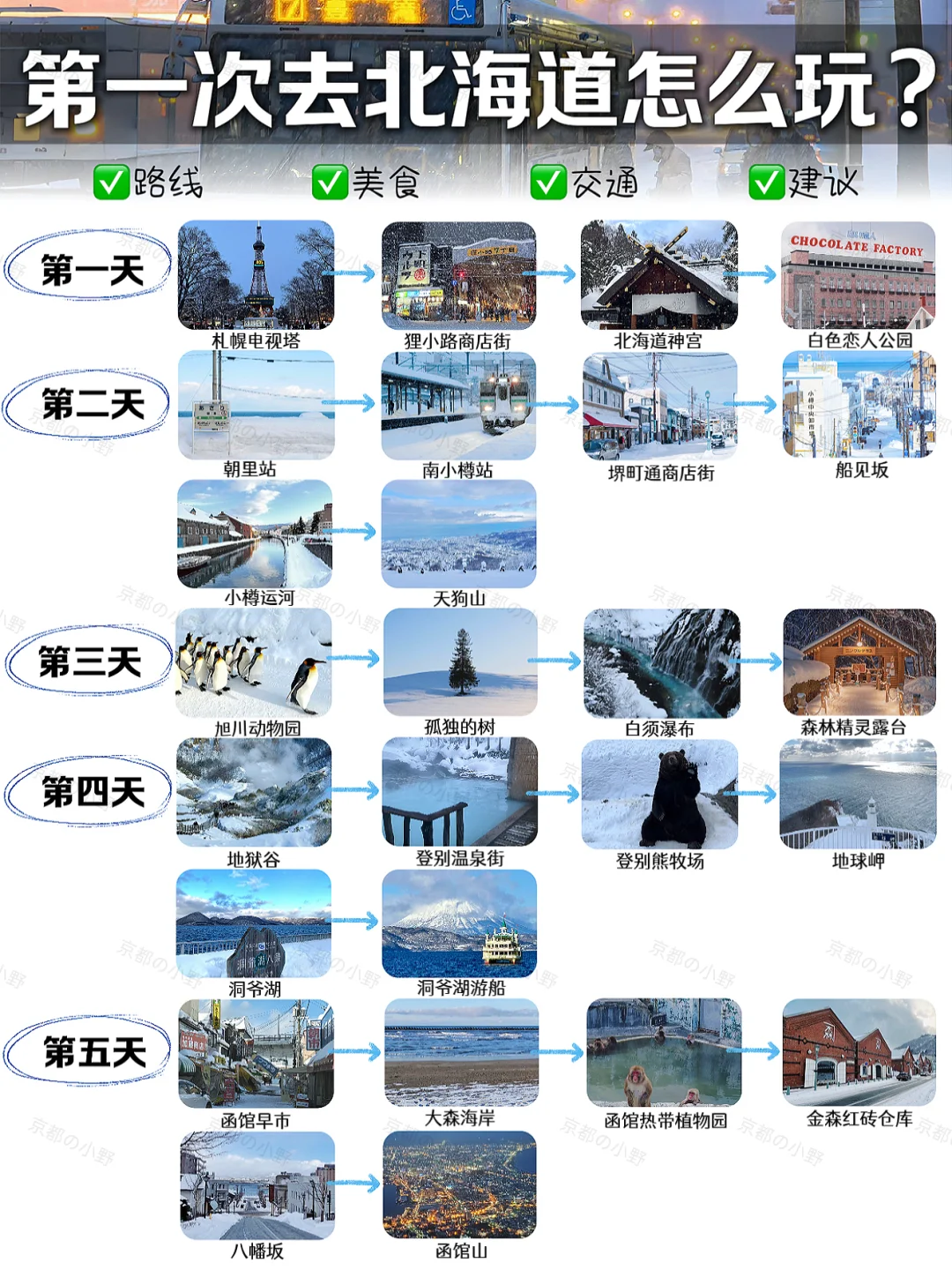 攻略｜🇯🇵终于有人把北海道旅游说清楚了‼️