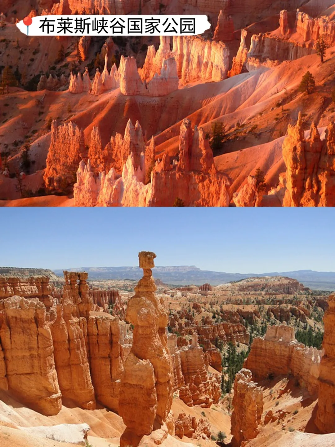 美国旅游后劲太大了😭听听我的真实感受