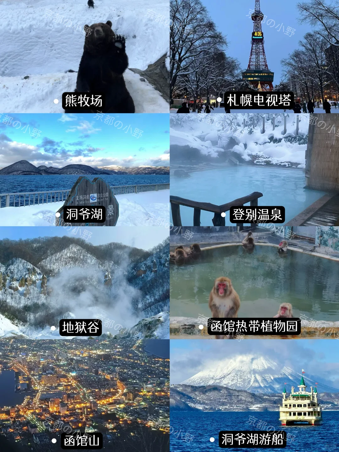 攻略｜🇯🇵终于有人把北海道旅游说清楚了‼️