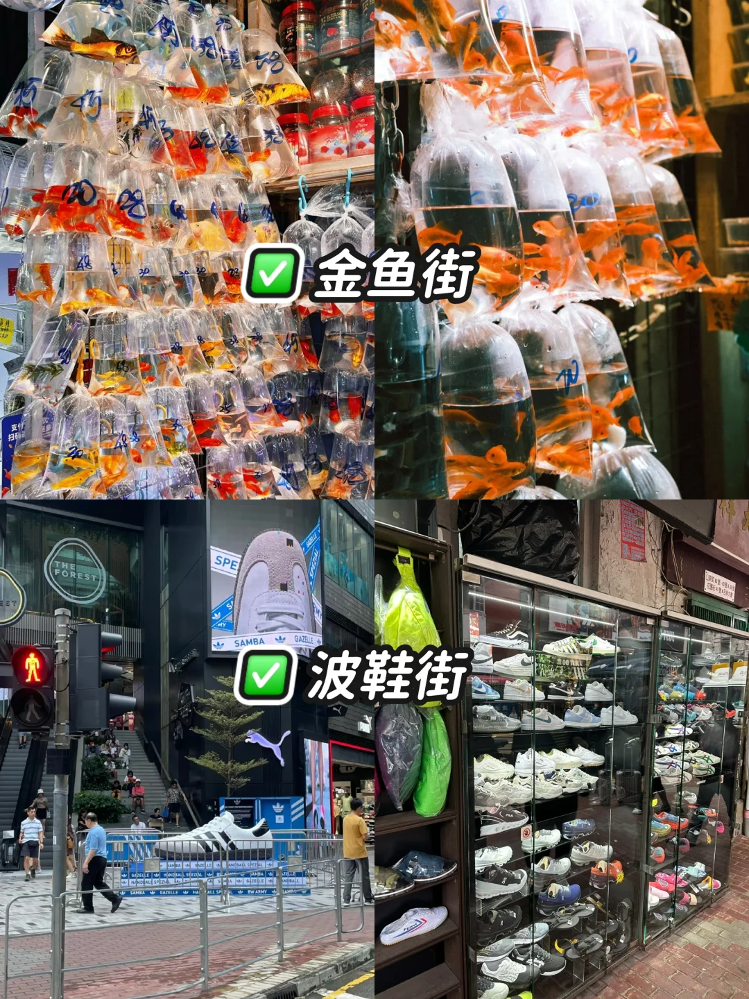 转发给你的朋友👍🏻香港一日游！不回头路线！