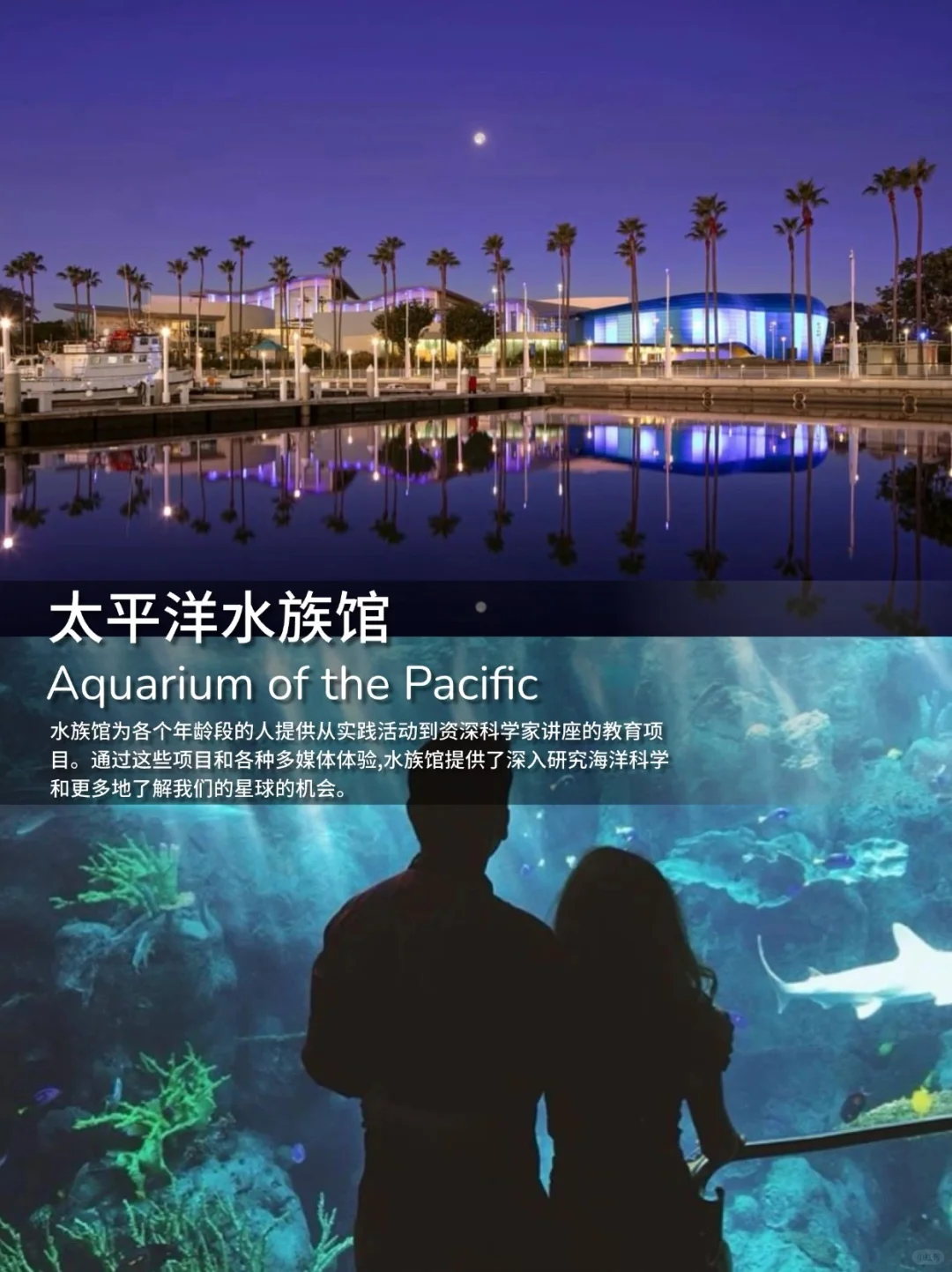 终于有人把洛杉矶说清楚了！超全实用干货