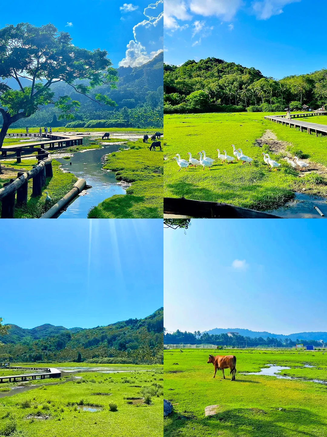 男朋友做的万宁攻略💗理工男逻辑强的可怕!