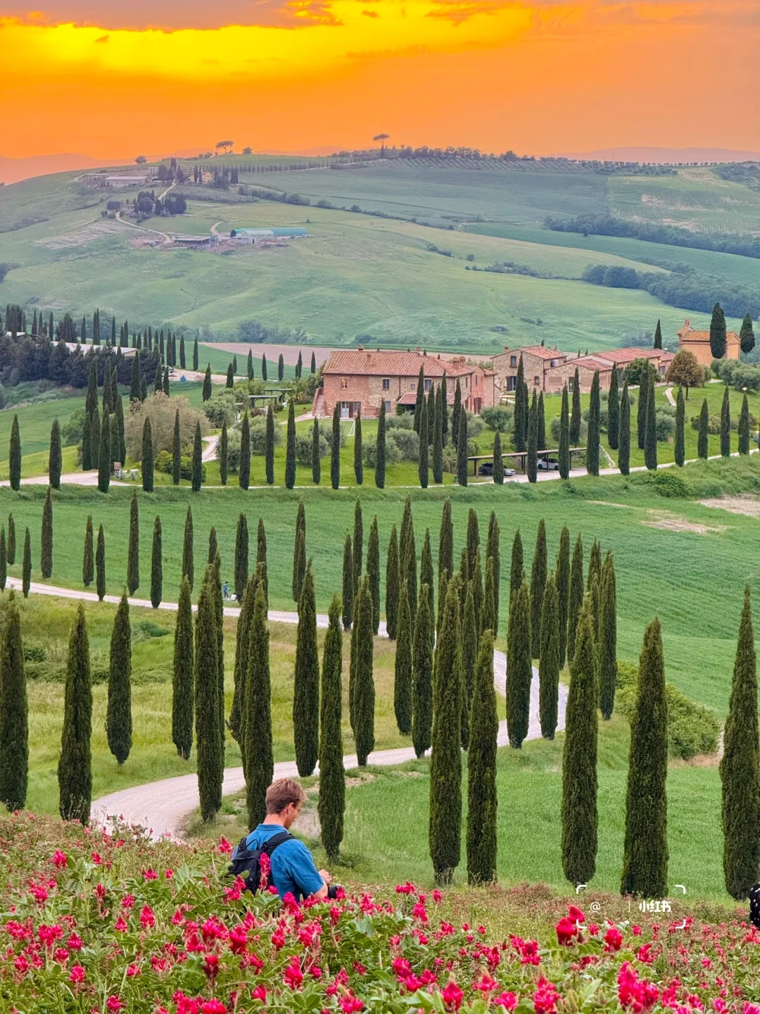 意大利旅行，有这篇全攻略就够了❗️附18日游