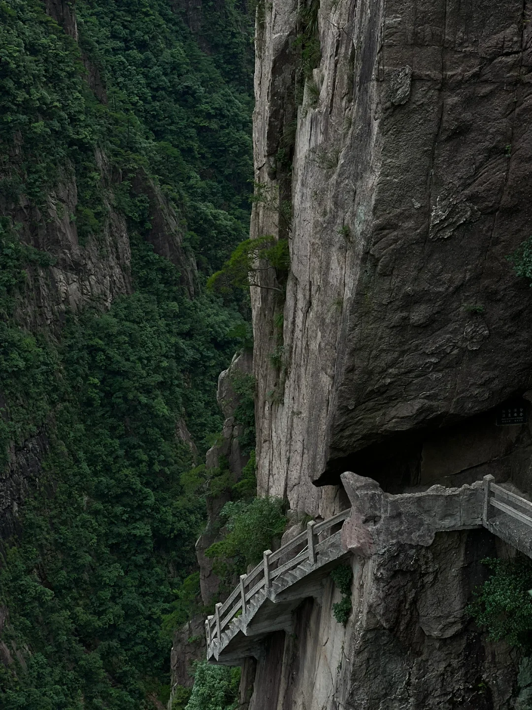 刚从黄山下来，收好这份2天1晚攻略🙋