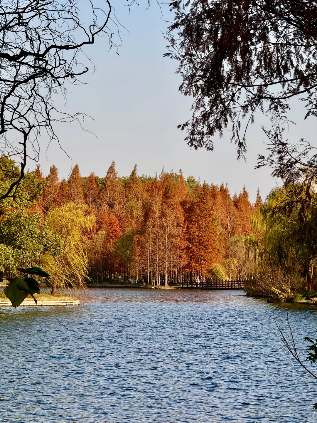 红了!上海这个被严重低估的宝藏公园😍