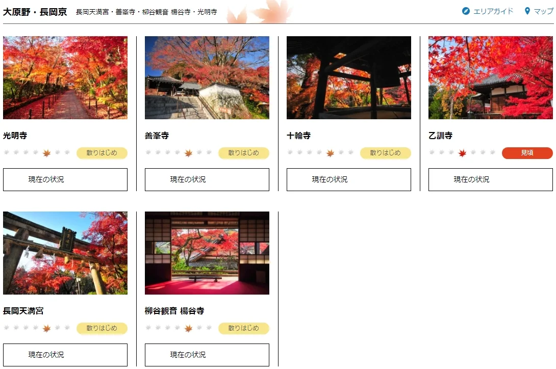 2024京都追枫实时播报📢这些寺院坚挺仍可冲