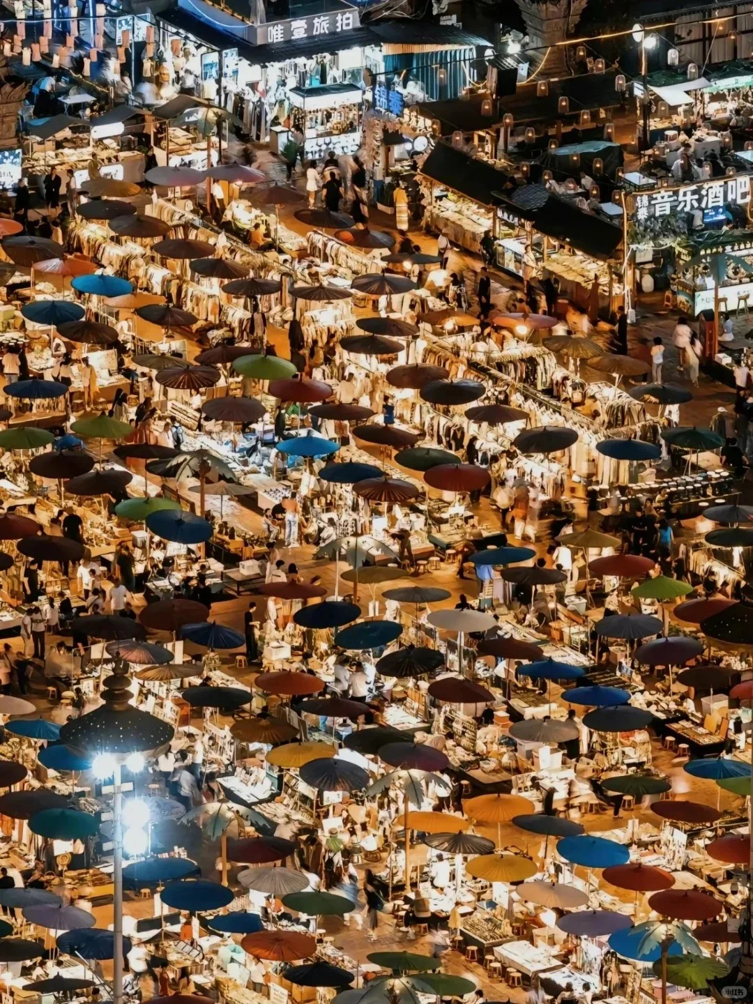 冬季来西双版纳必去十大景点❗新手必看❗