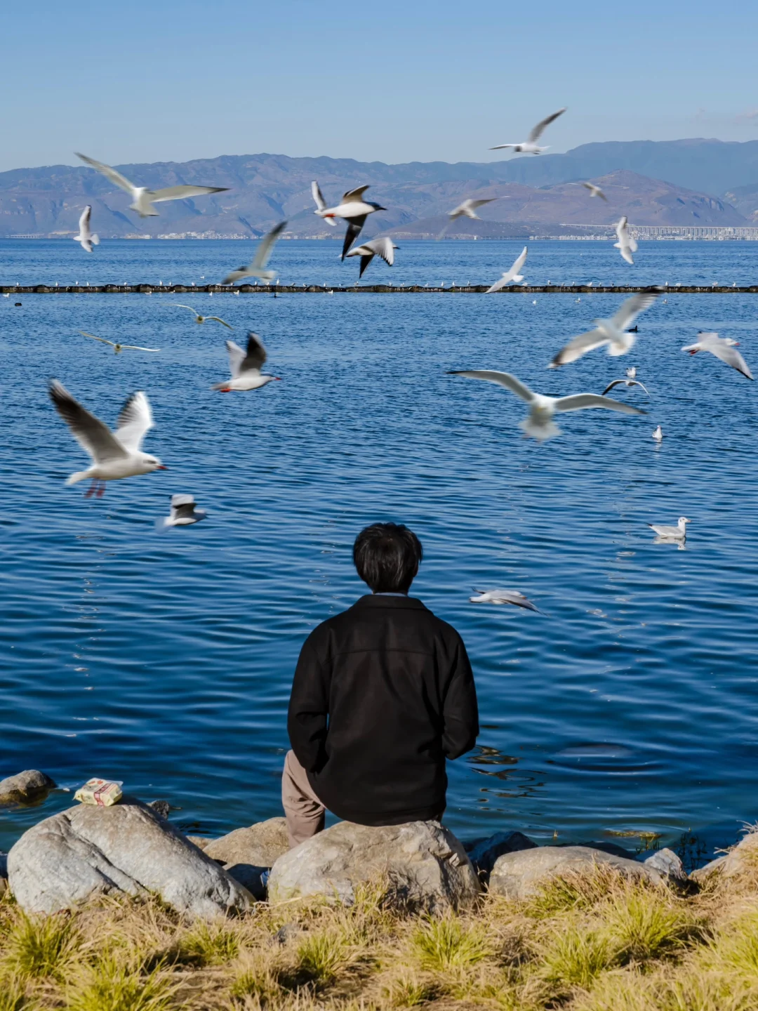 为了这18张照片,我专程飞了一趟大理❗❗