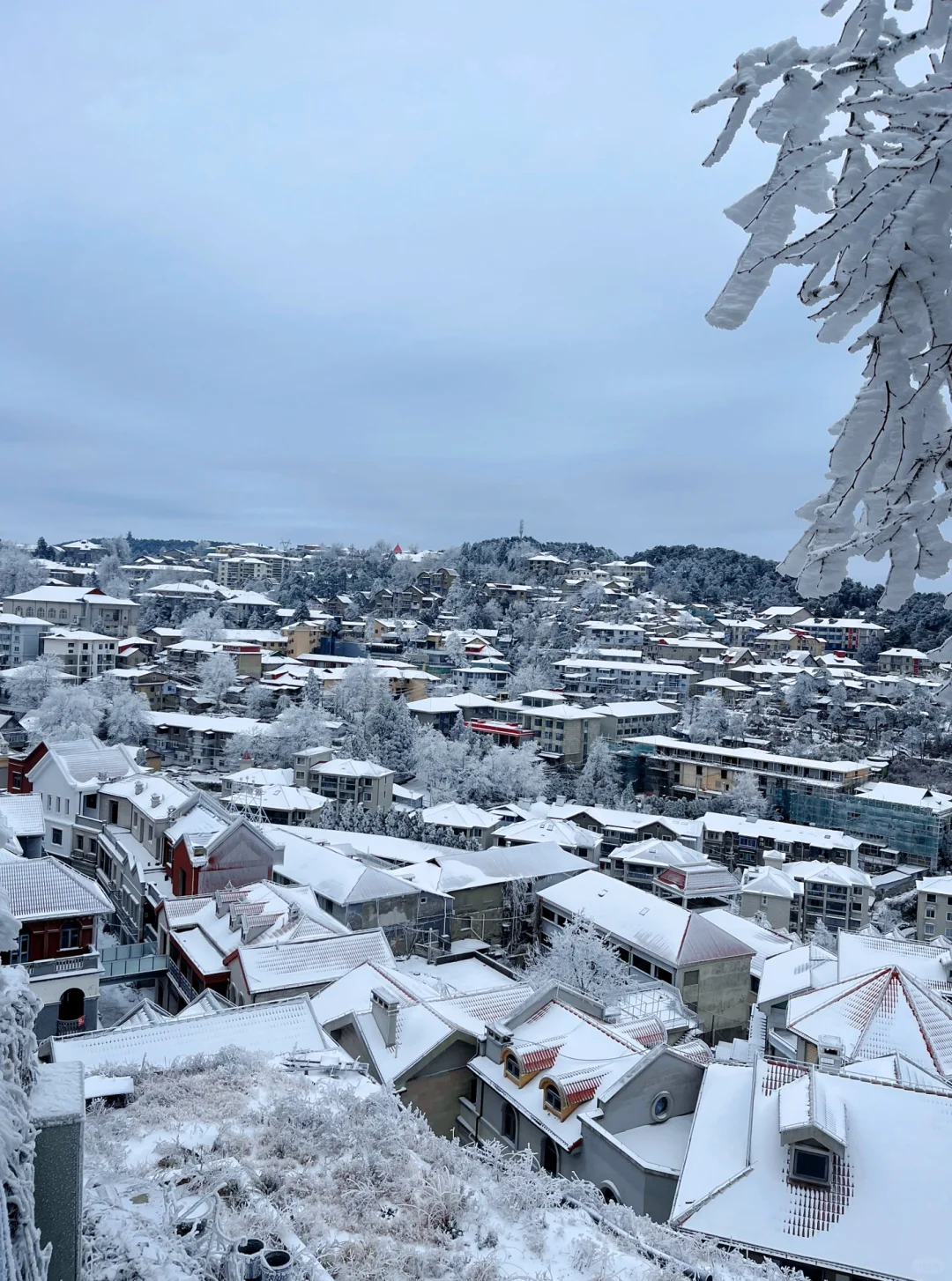 庐山看雪三天两夜保姆攻略来咯！