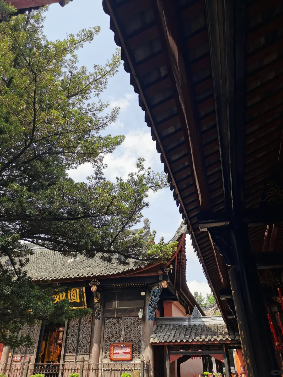 本地人整理📍终于有人把成都景点讲清楚了