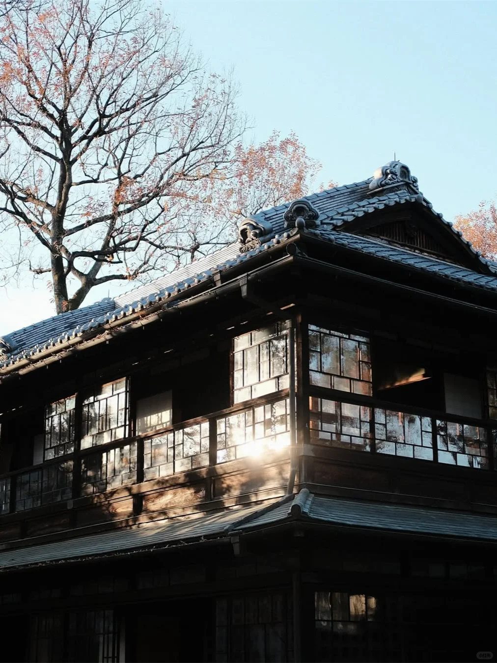 东京散步意外撞到了蕞大惊喜,出不去了…