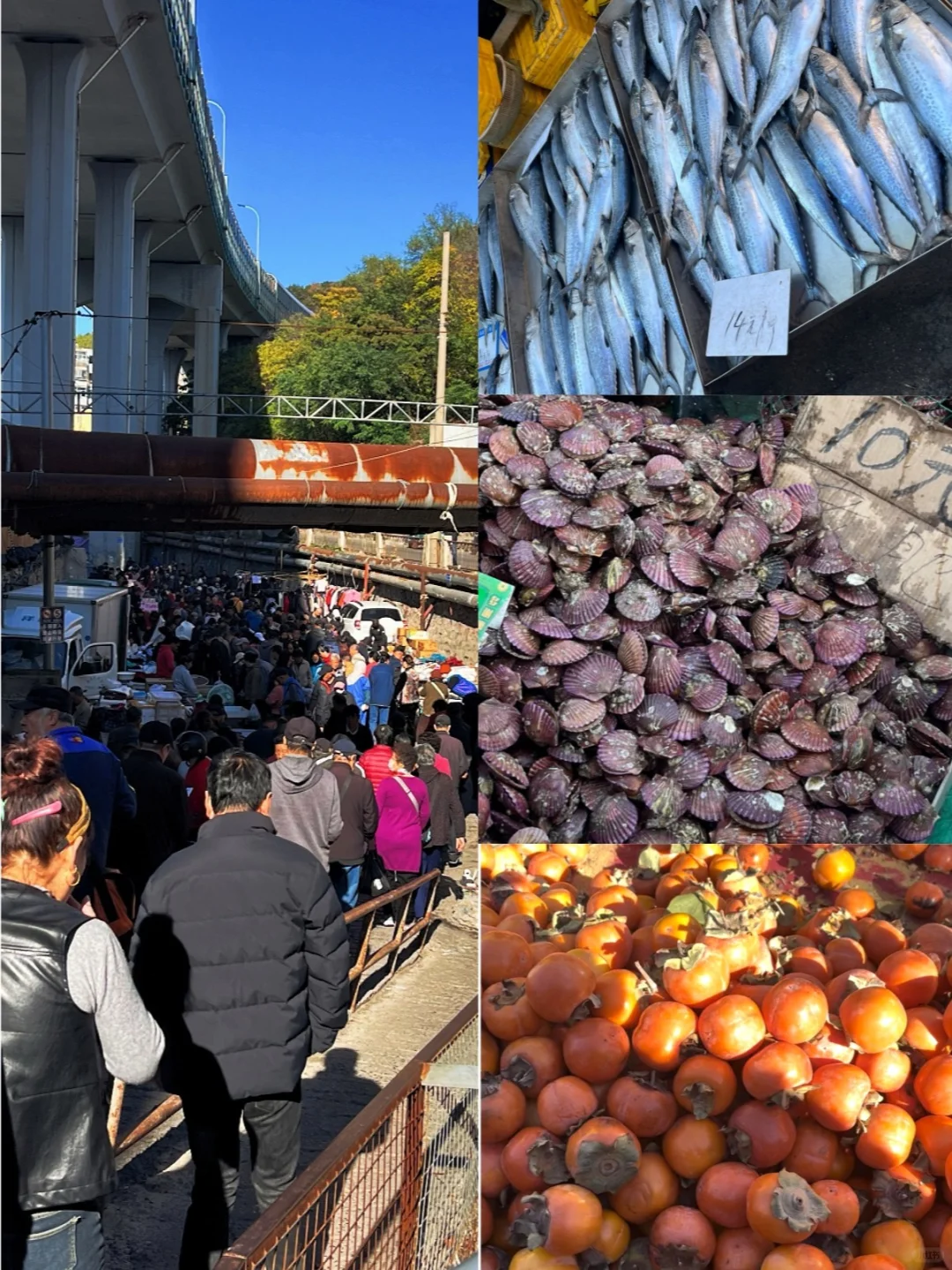 大连Plog，热门景点替大家踩个雷🧐