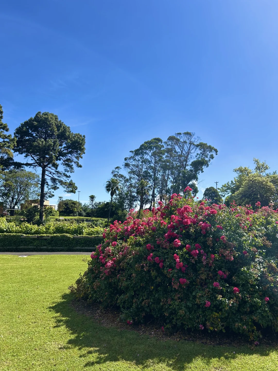 💥墨尔本｜维州周边超绝🤩洞穴花园⛲️蓝湖💦