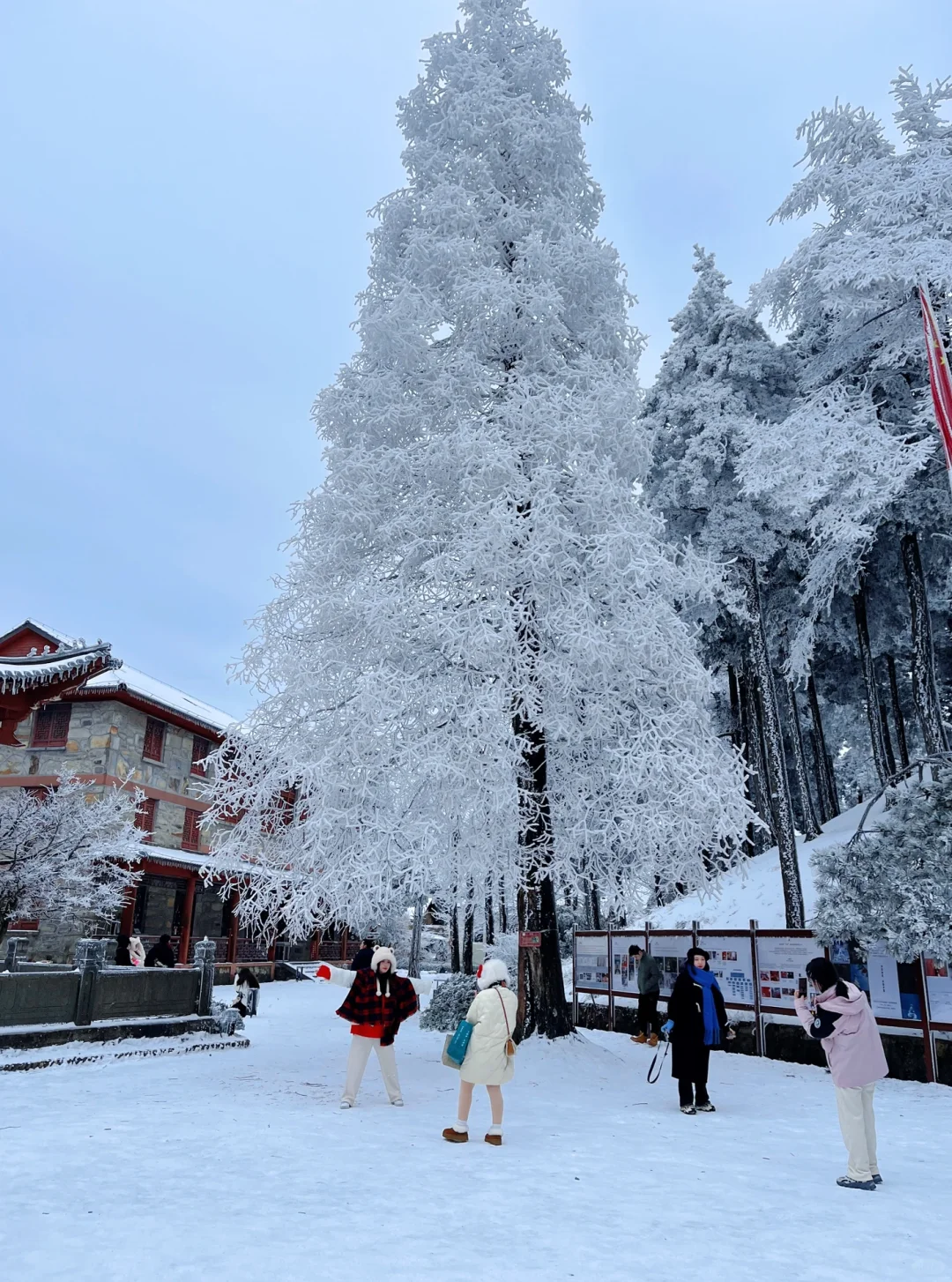 庐山看雪三天两夜保姆攻略来咯！