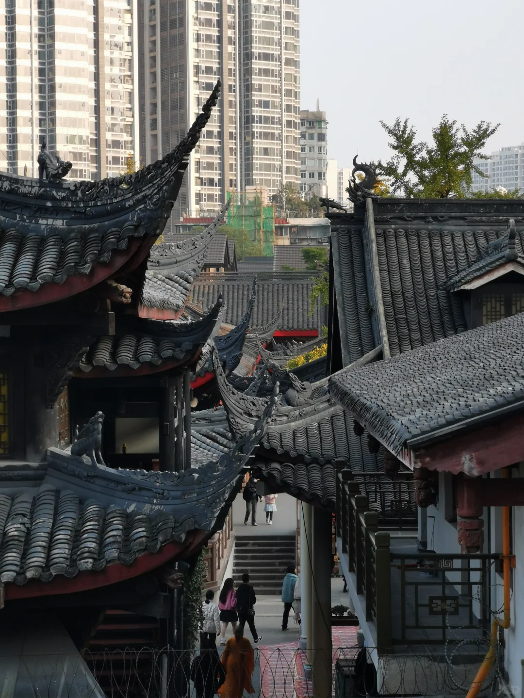 成都📍景点避坑｜去成都前一定要看‼️