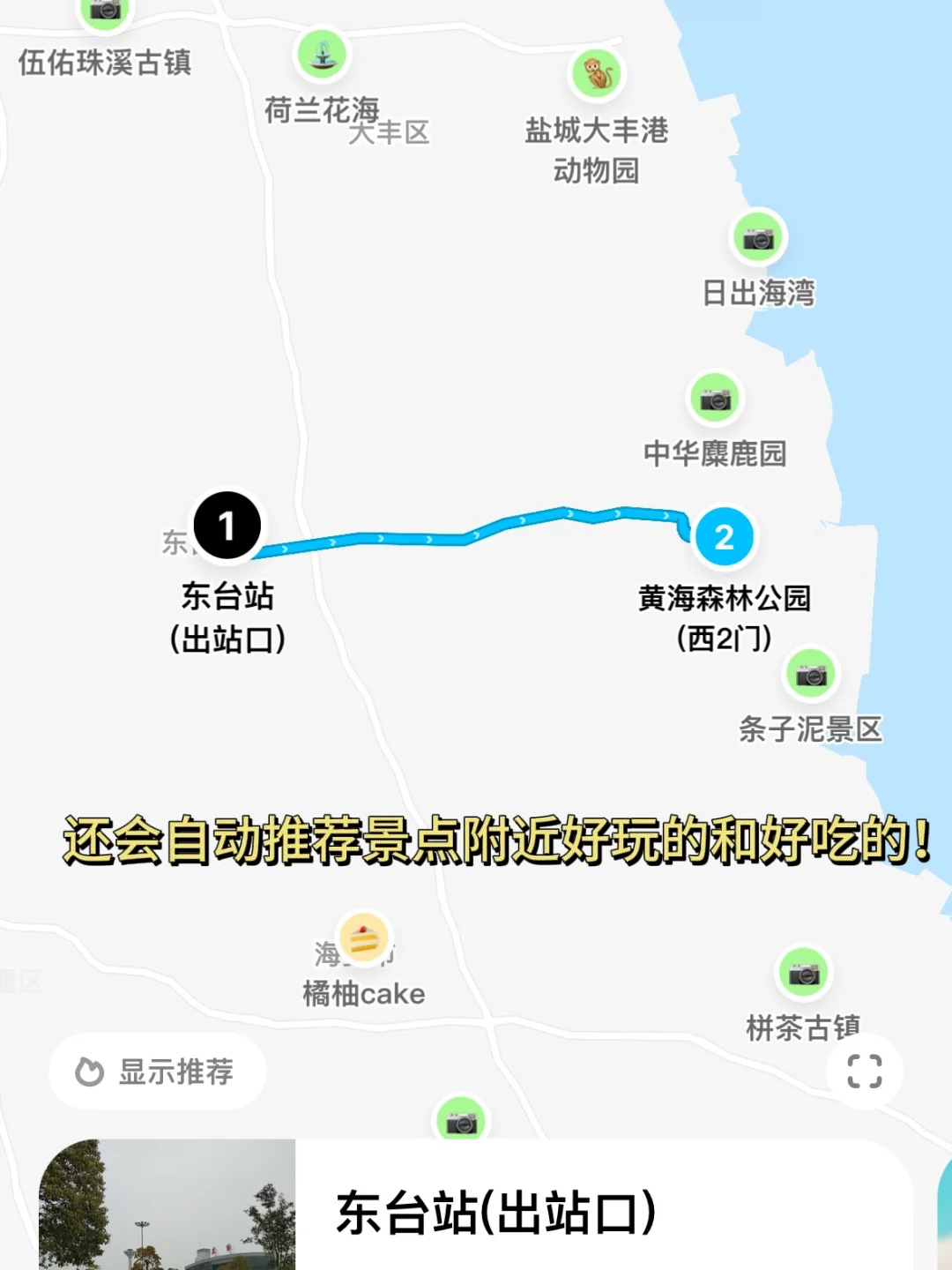 不是新疆！是江苏！美到哭的童话杉林！无人…