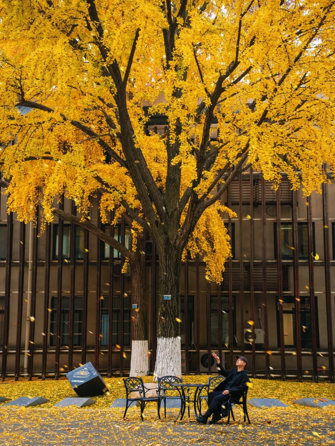 人生建议:抵达南京第➊站从这开始Citywalk