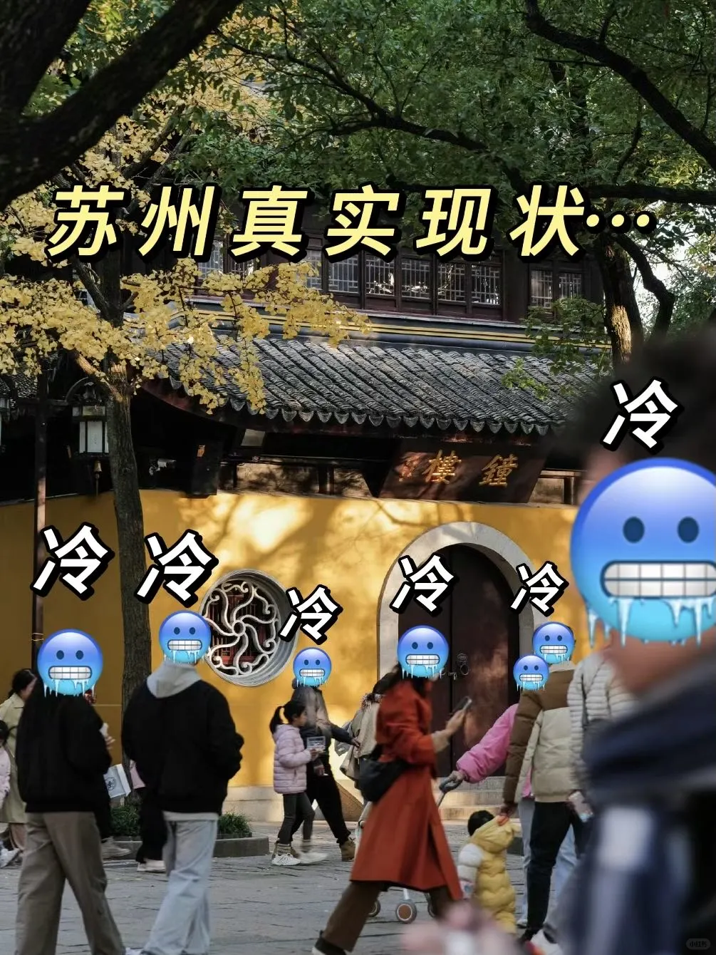 已被宰，话虽难听，但这就是苏州现状😓….