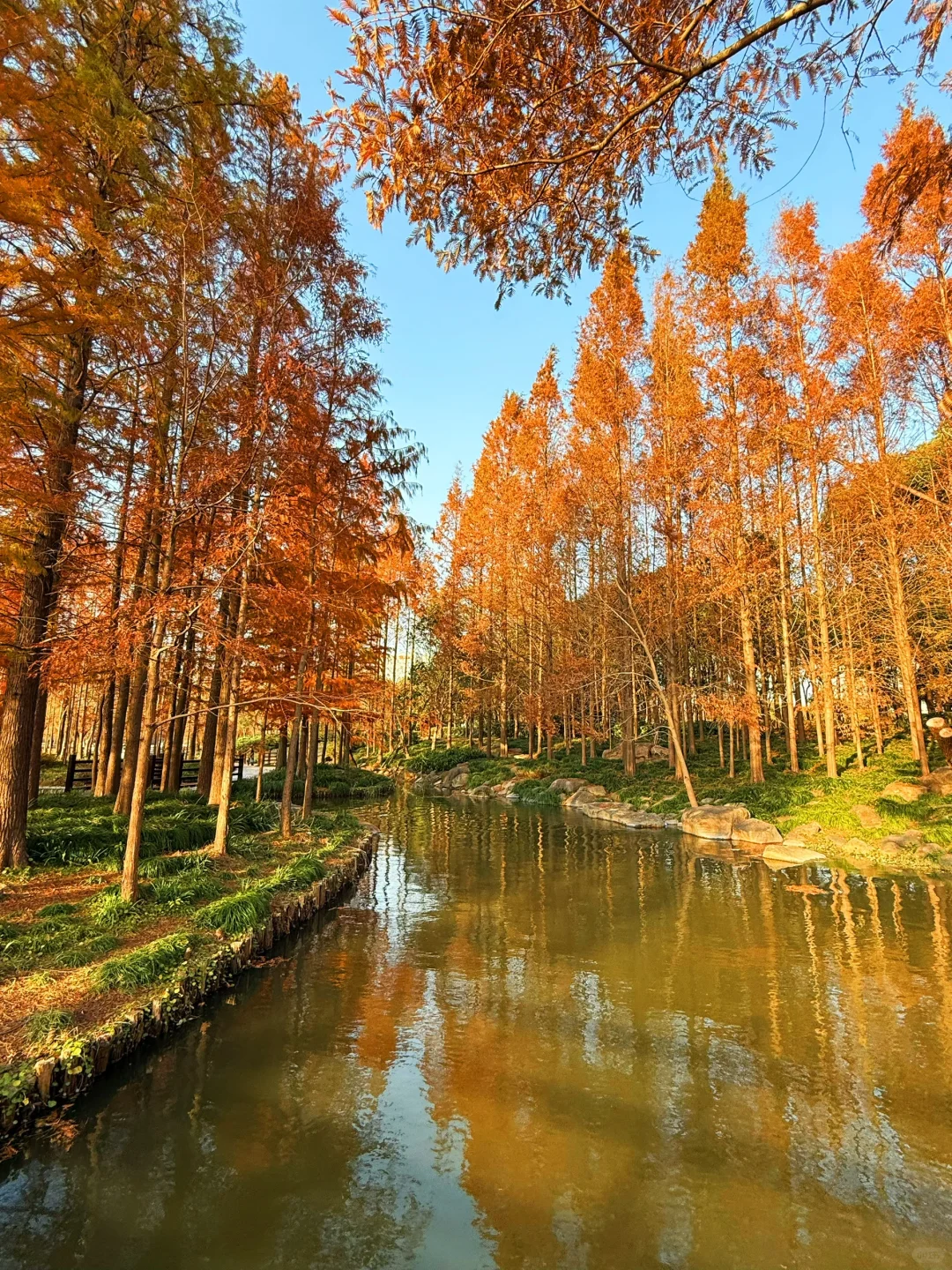 红了!上海这个被严重低估的宝藏公园😍