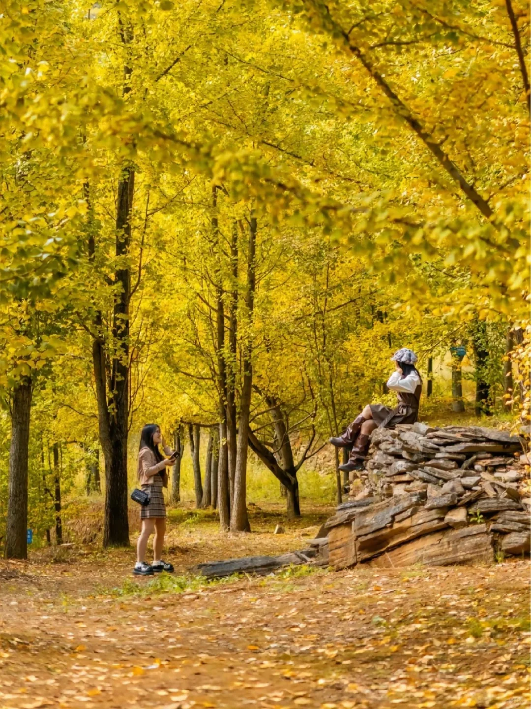 实话很难听,但这就是桂林12-2月淡季情况