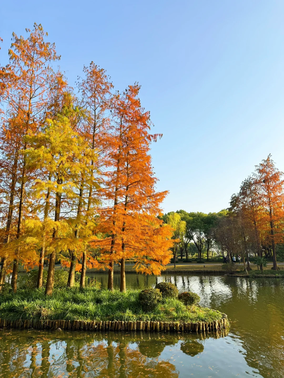 红了!上海这个被严重低估的宝藏公园😍