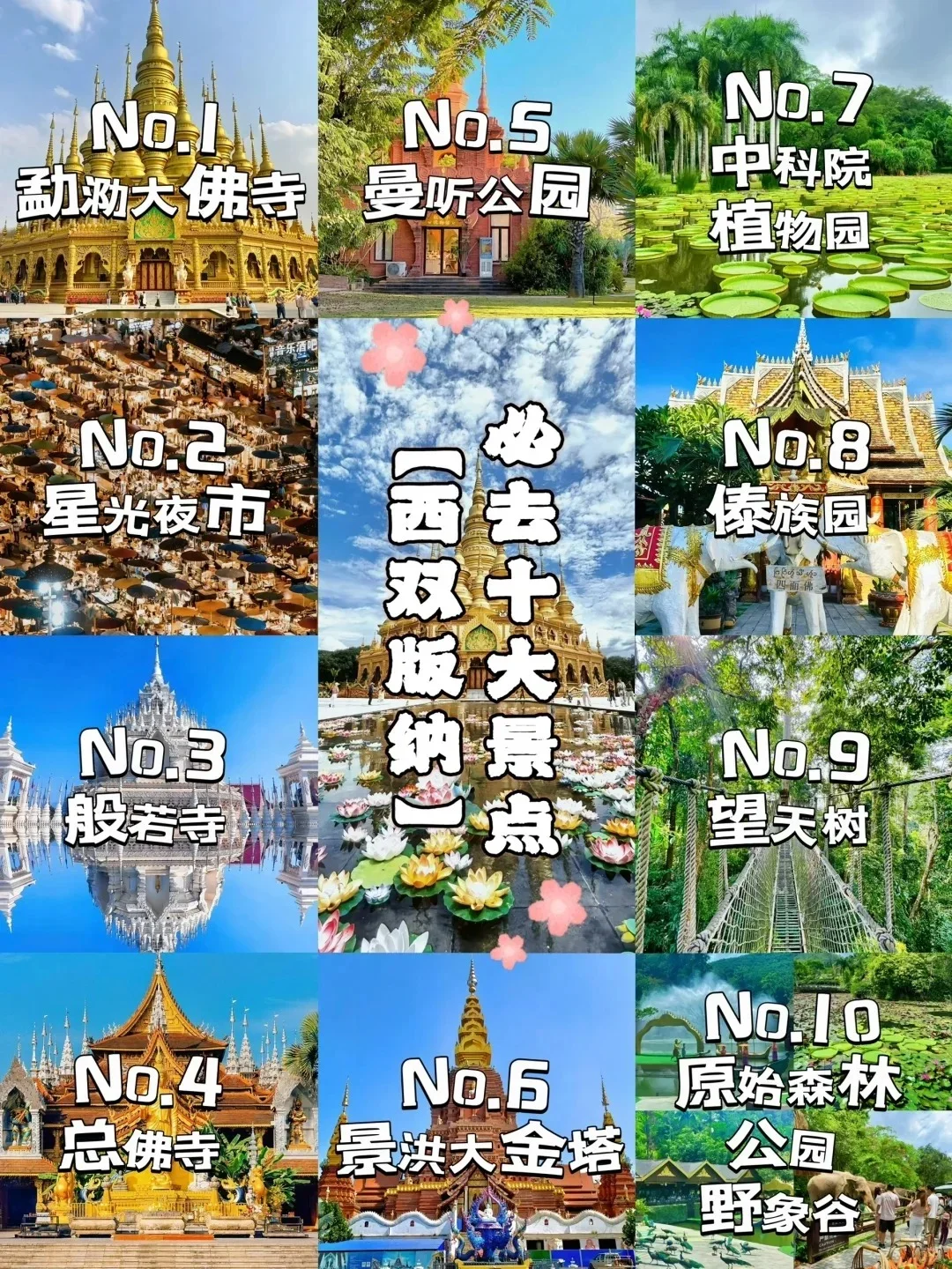 冬季来西双版纳必去十大景点❗新手必看❗