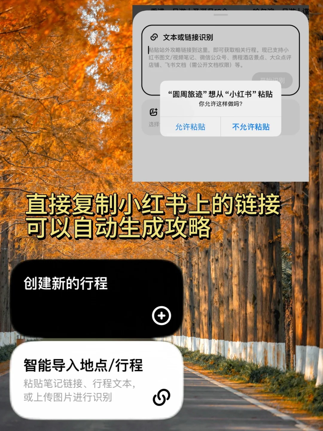 不是新疆！是江苏！美到哭的童话杉林！无人…