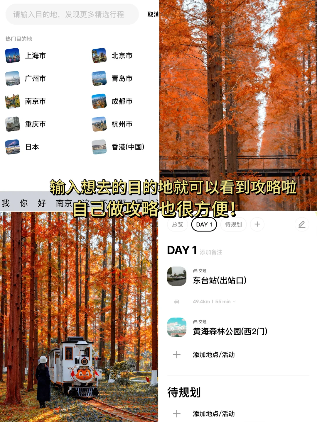 不是新疆！是江苏！美到哭的童话杉林！无人…