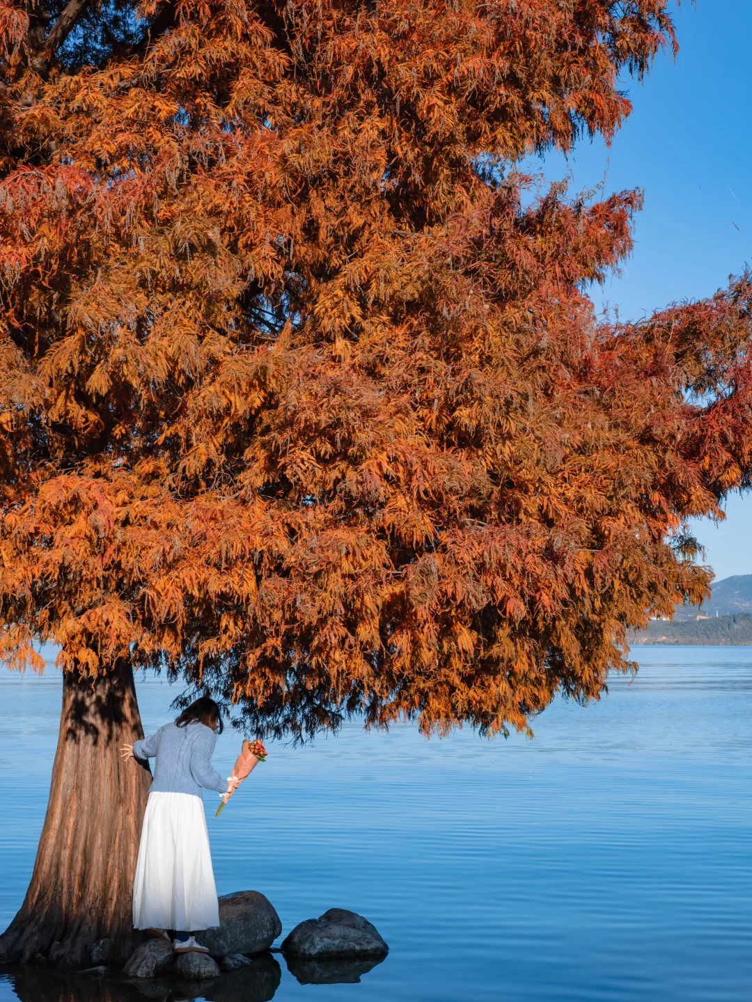 为了这18张照片,我专程飞了一趟大理❗❗