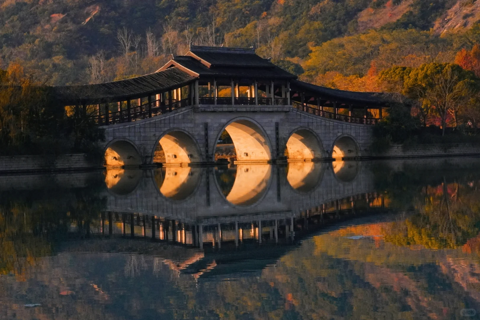 无锡冬日奇观限定‼️金光穿孔 福耀人间✨