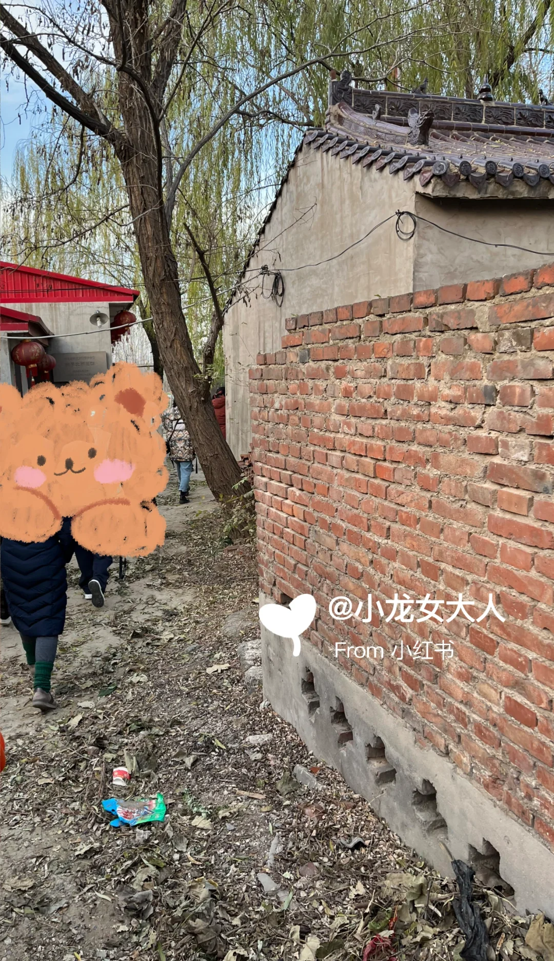 万万没想到｜邯郸探墓‼️高欢墓竟然在这里‼️