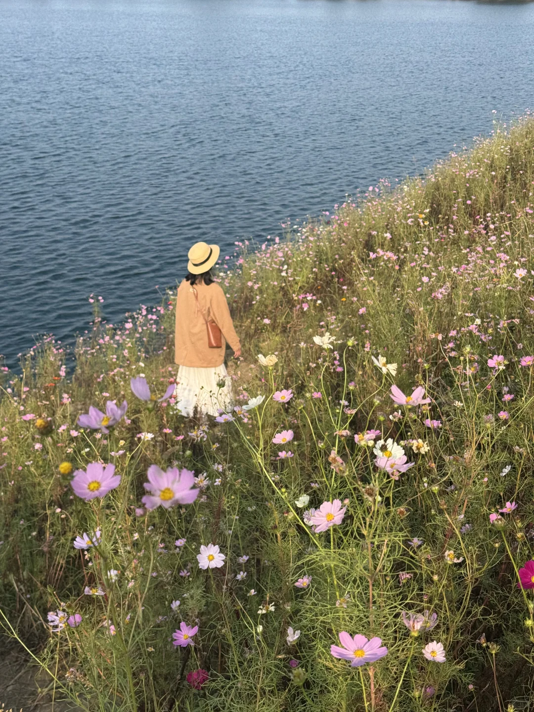 问爆了❗️上海自驾1.5h🚗人间塞尔达真的存在