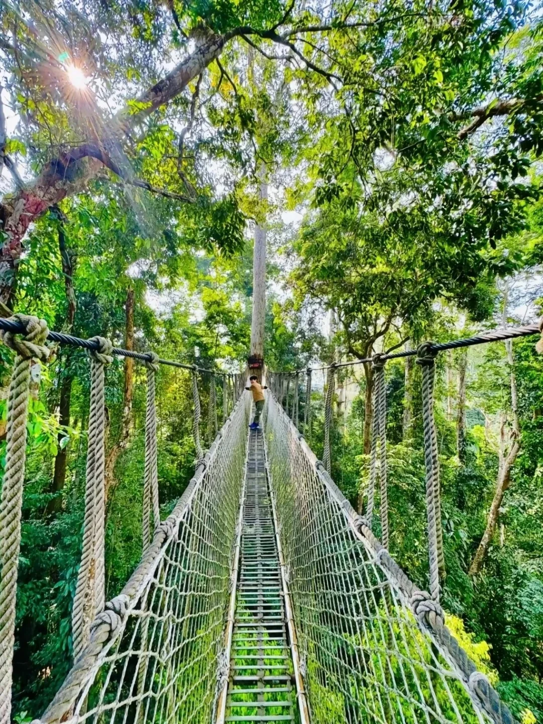 冬季来西双版纳必去十大景点❗新手必看❗