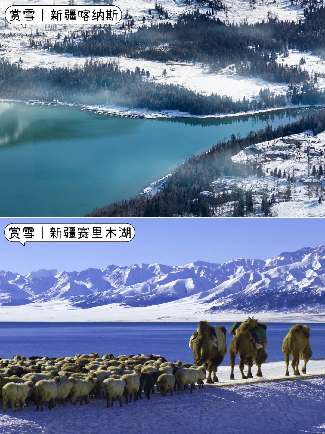 ❄️冬天不知道去哪玩?|挑一个最近的去吧