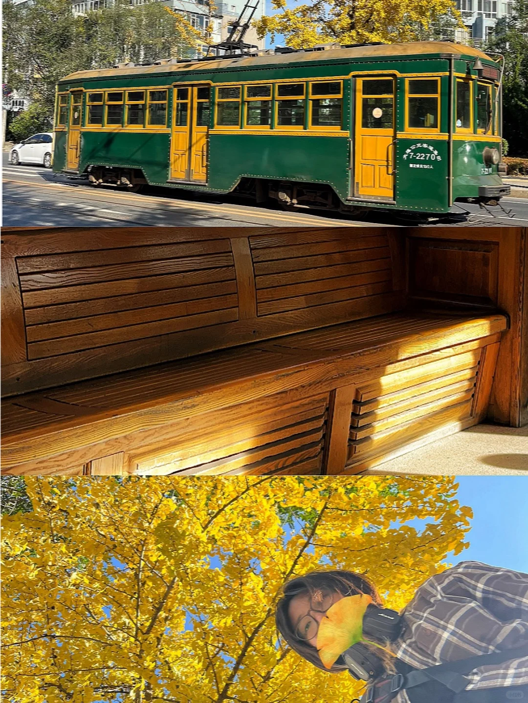 大连Plog，热门景点替大家踩个雷🧐