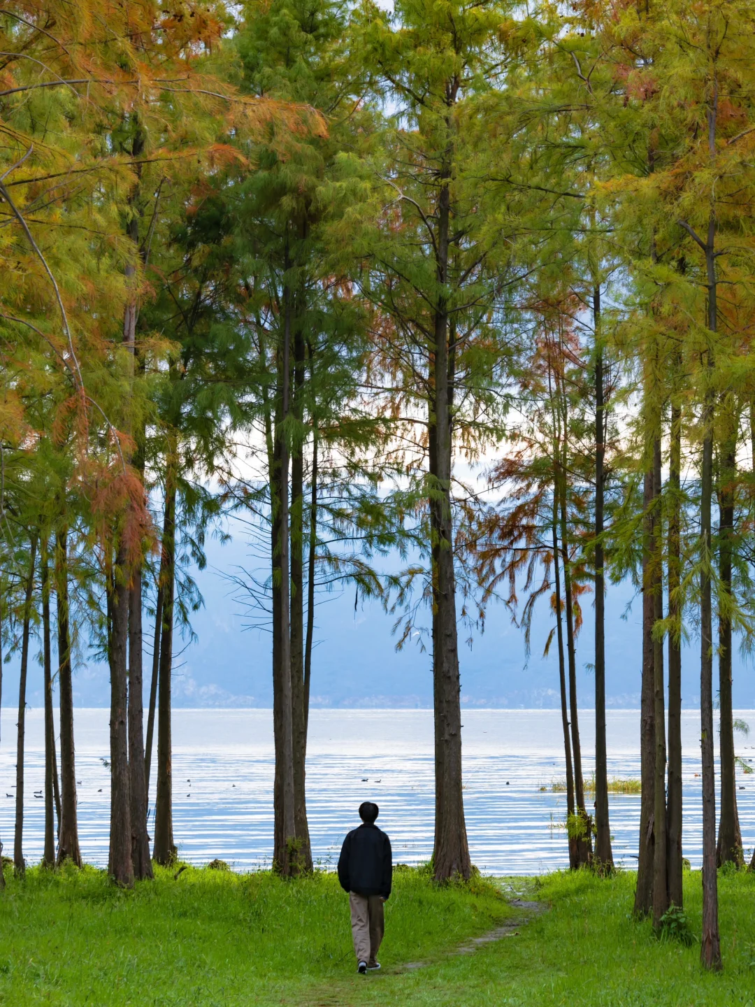 为了这18张照片,我专程飞了一趟大理❗❗