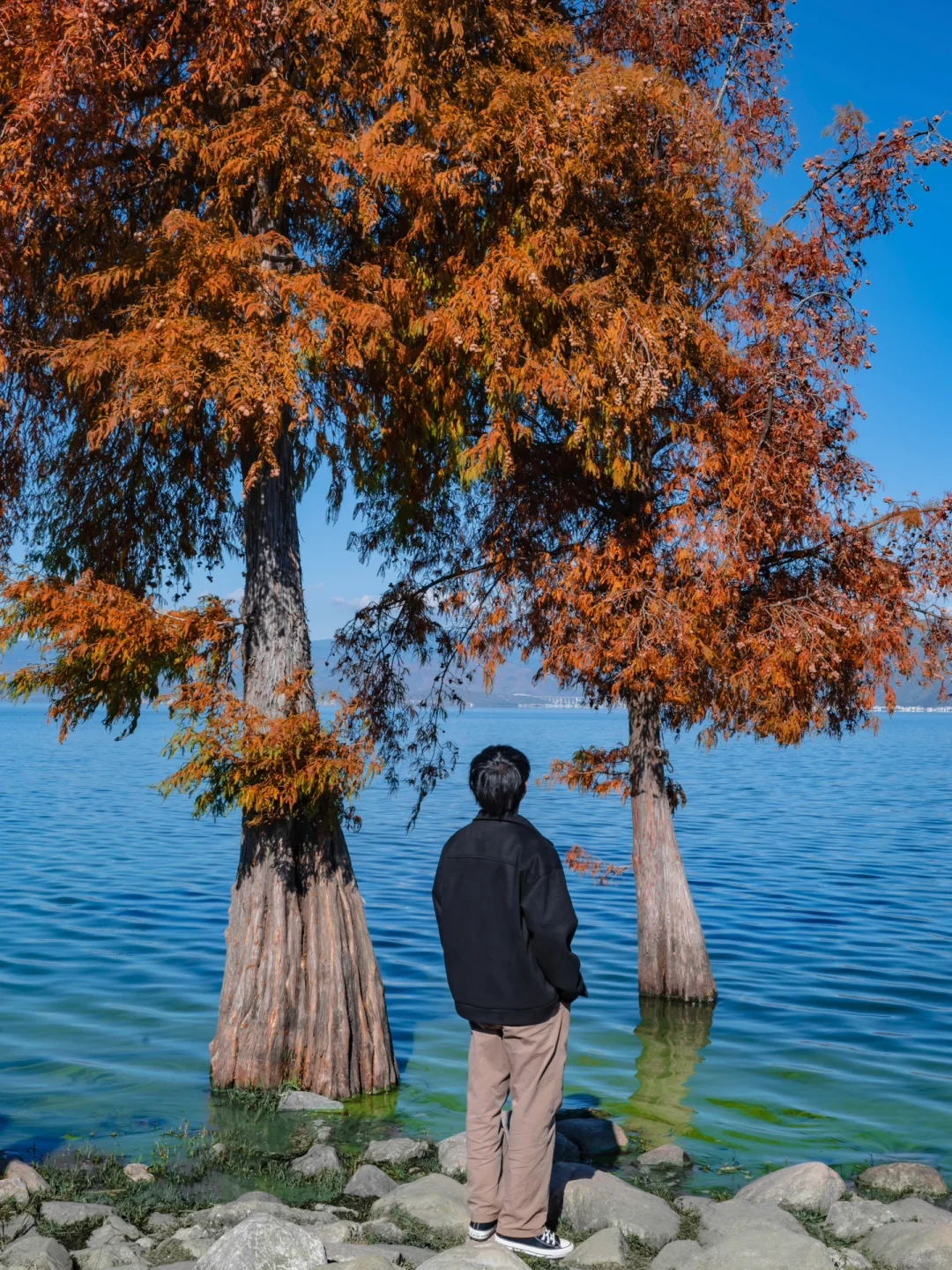 为了这18张照片,我专程飞了一趟大理❗❗