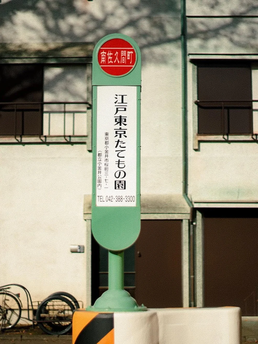 东京散步意外撞到了蕞大惊喜,出不去了…