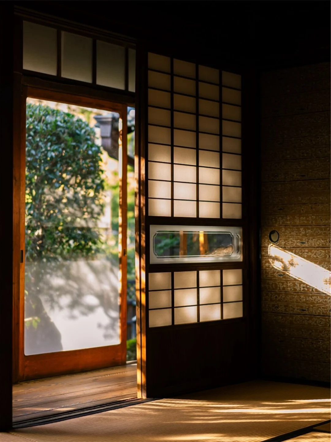 东京散步意外撞到了蕞大惊喜,出不去了…