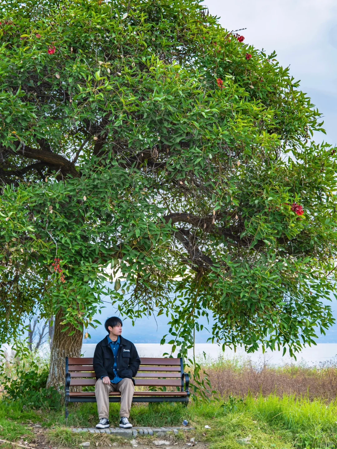 为了这18张照片,我专程飞了一趟大理❗❗