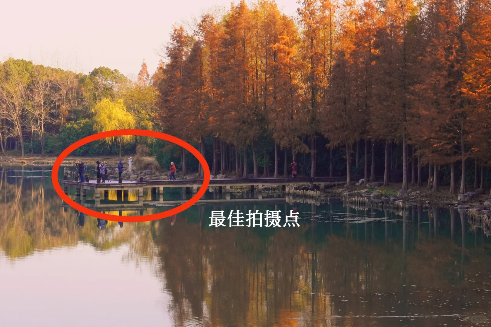 无锡冬日奇观限定‼️金光穿孔 福耀人间✨