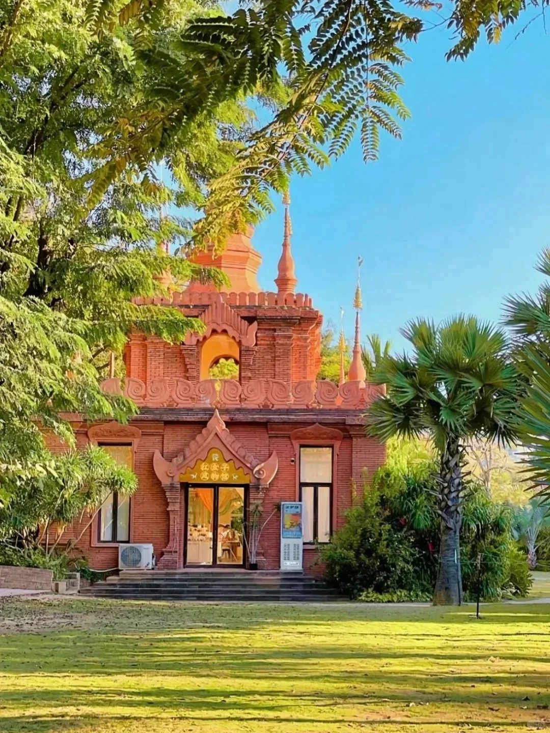 冬季来西双版纳必去十大景点❗新手必看❗