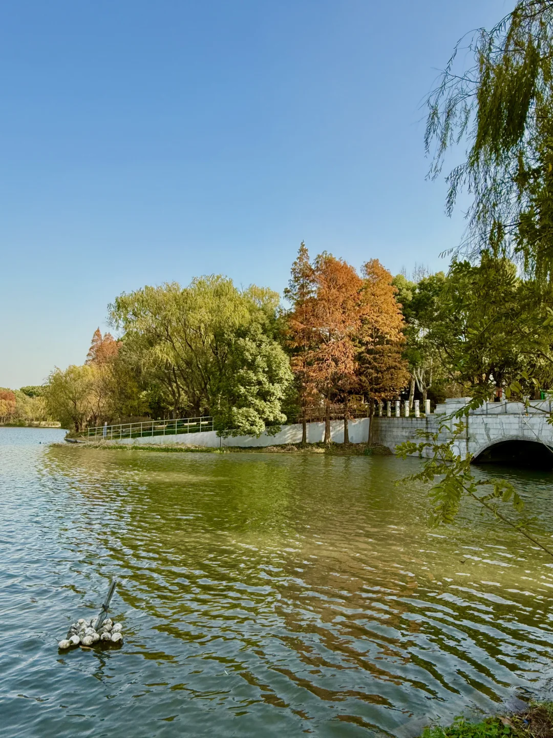 红了!上海这个被严重低估的宝藏公园😍