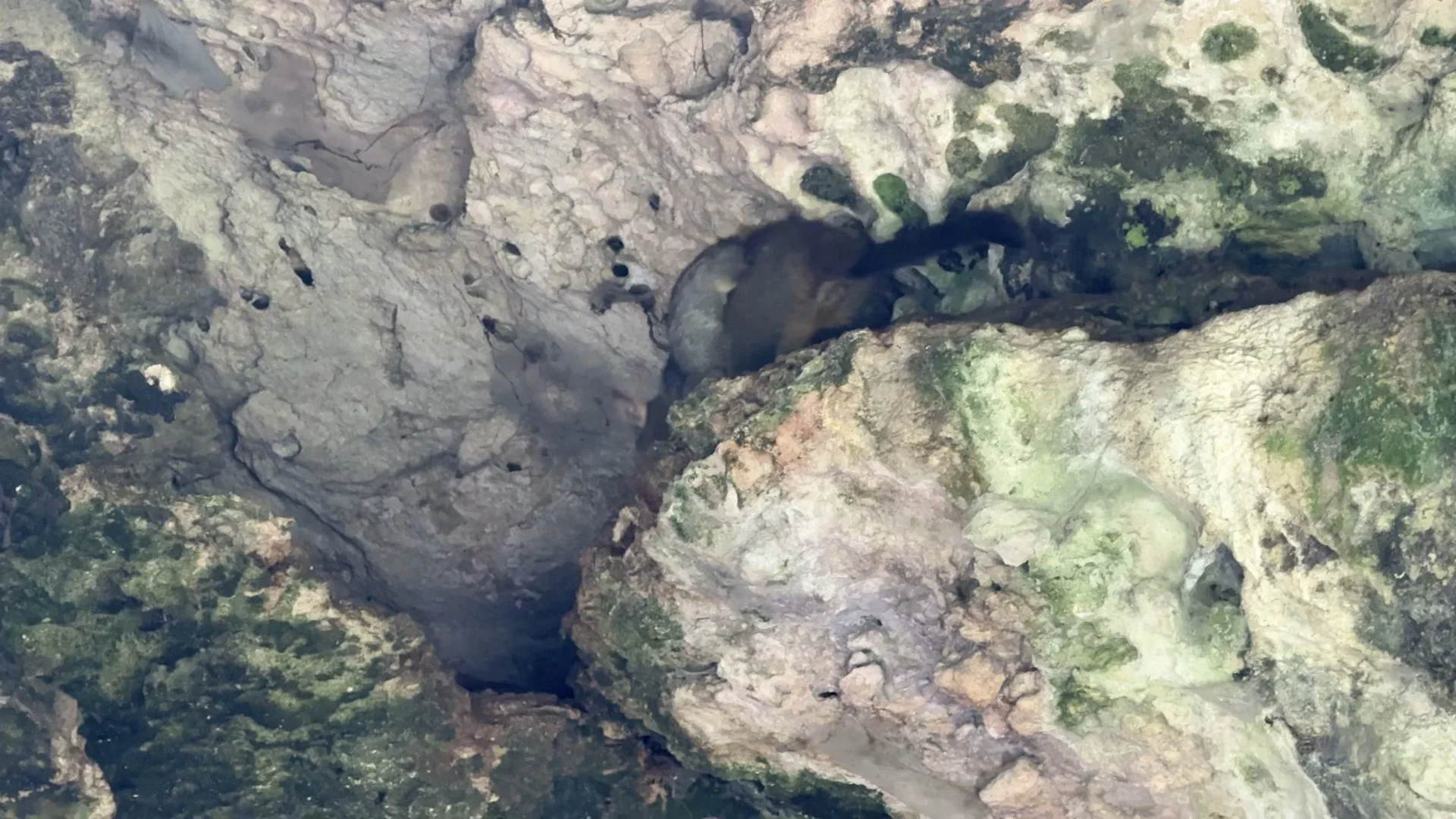 💥墨尔本｜维州周边超绝🤩洞穴花园⛲️蓝湖💦