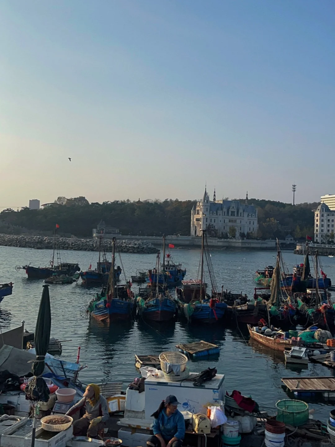 大连Plog，热门景点替大家踩个雷🧐