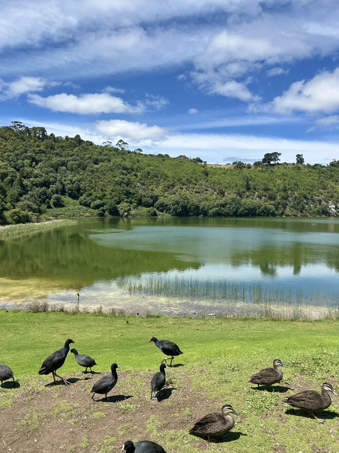 💥墨尔本｜维州周边超绝🤩洞穴花园⛲️蓝湖💦