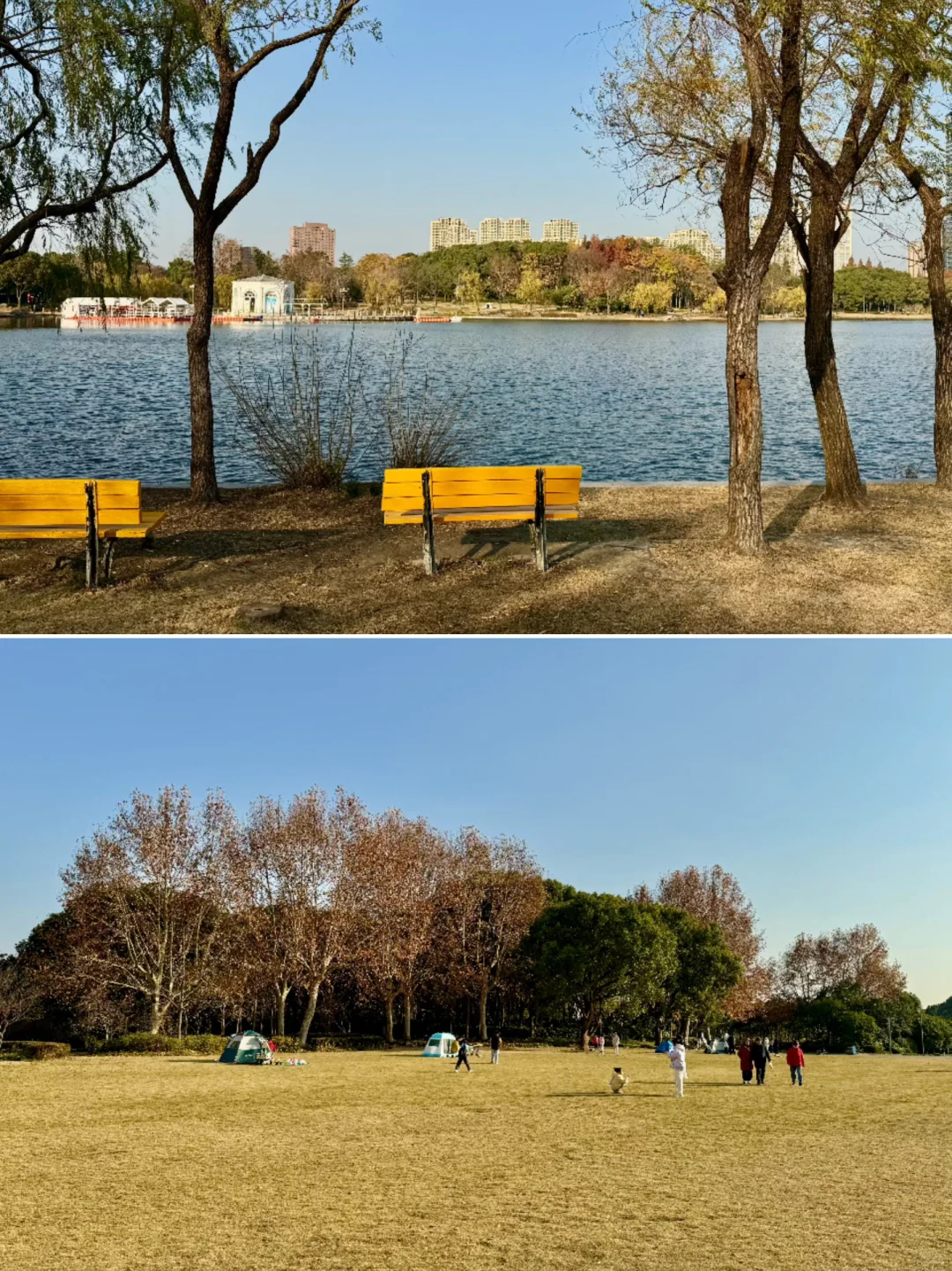 红了!上海这个被严重低估的宝藏公园😍