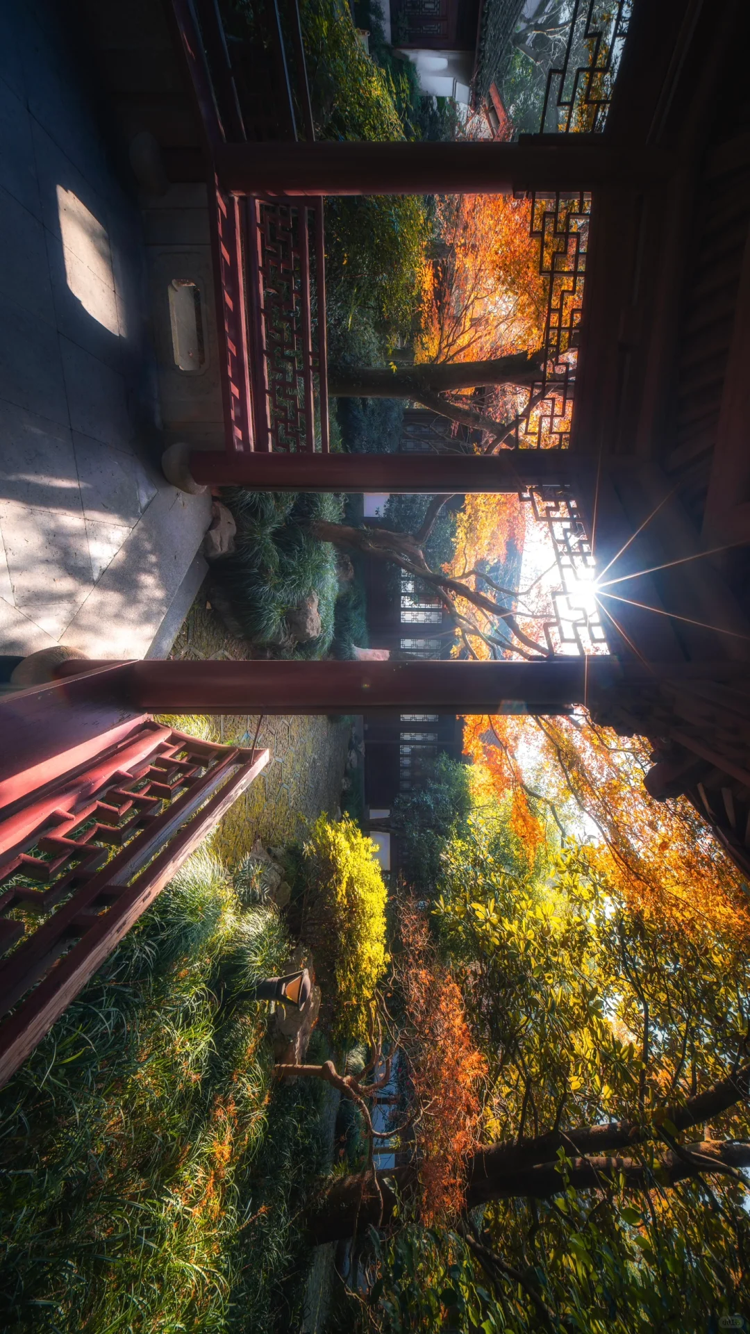 一个杭州99.9%的人都不知道的赏秋景点‼️