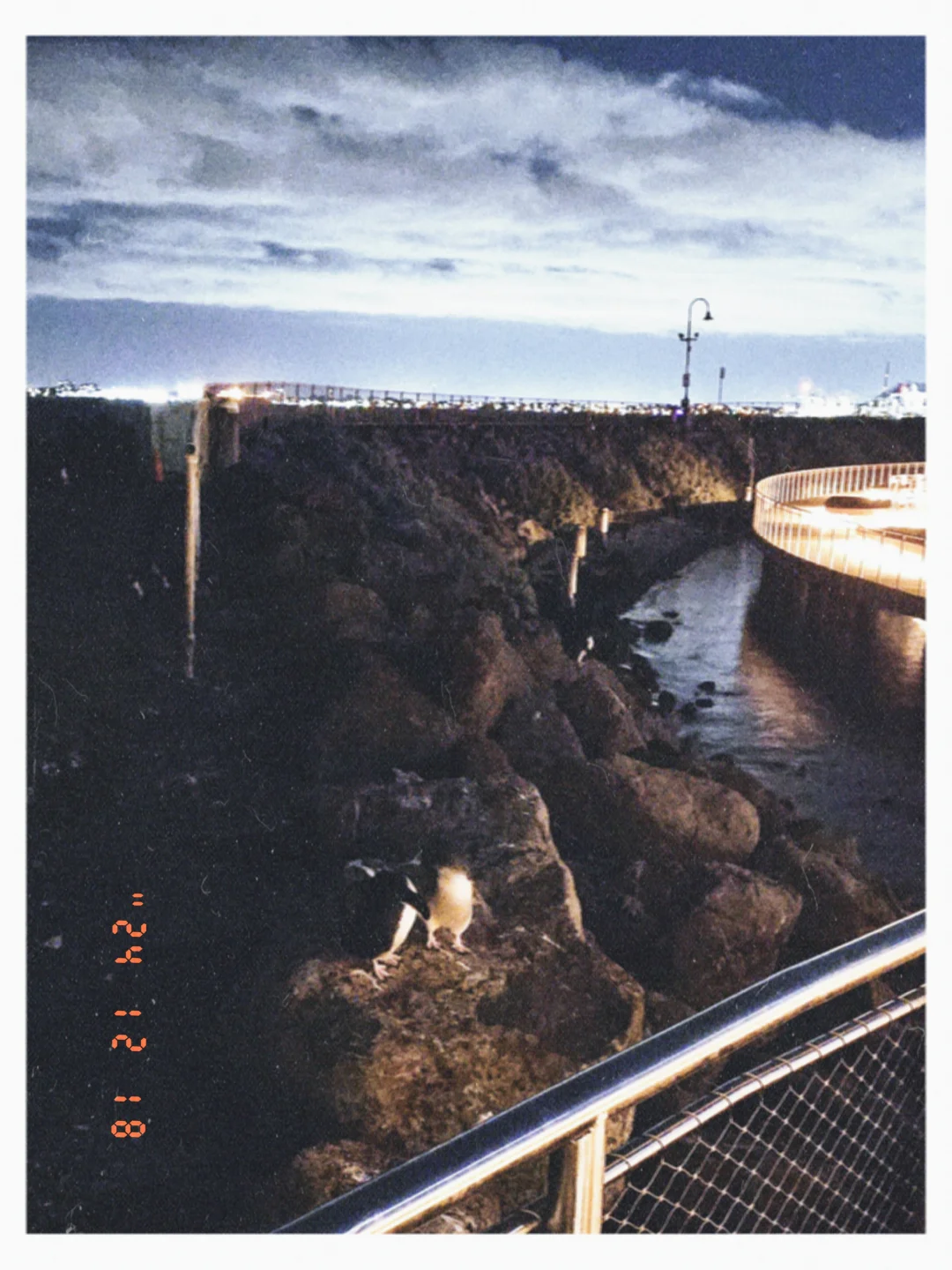 我不允许你没去过墨尔本最新的免费景点！