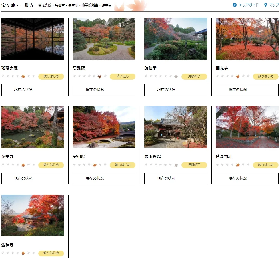 2024京都追枫实时播报📢这些寺院坚挺仍可冲